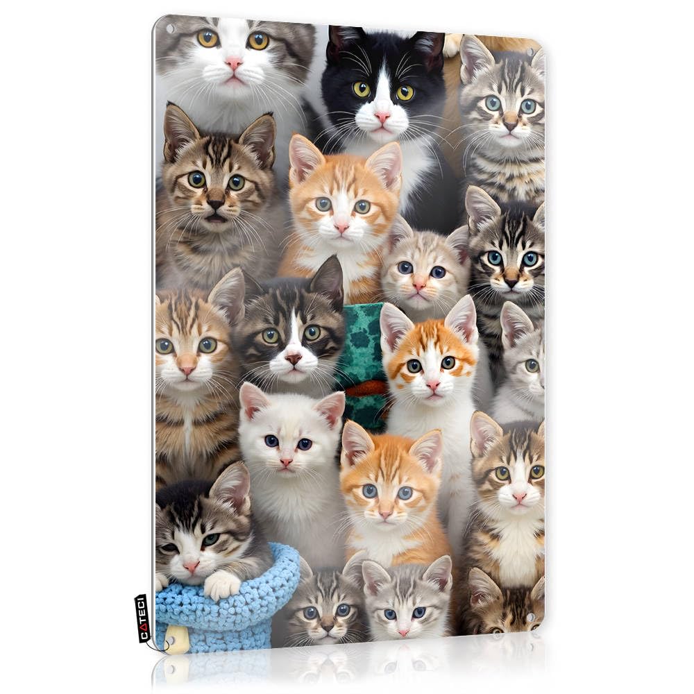 Fzfn Men's Colour Tin Wall Decor Preppy Bedroom Decor For Ideas A Heartwarming Collage Of Adorable Kittens - Vintage Wall Decor For Baset Bar(20X30cm)