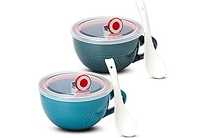 Domensi 2 Piece Ceramic Soup Mugs with Lids