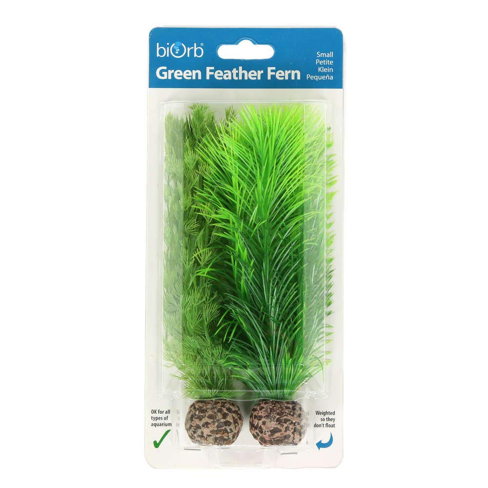 Reef One Biorb Small Green Feather Fern Plants for Aquariums