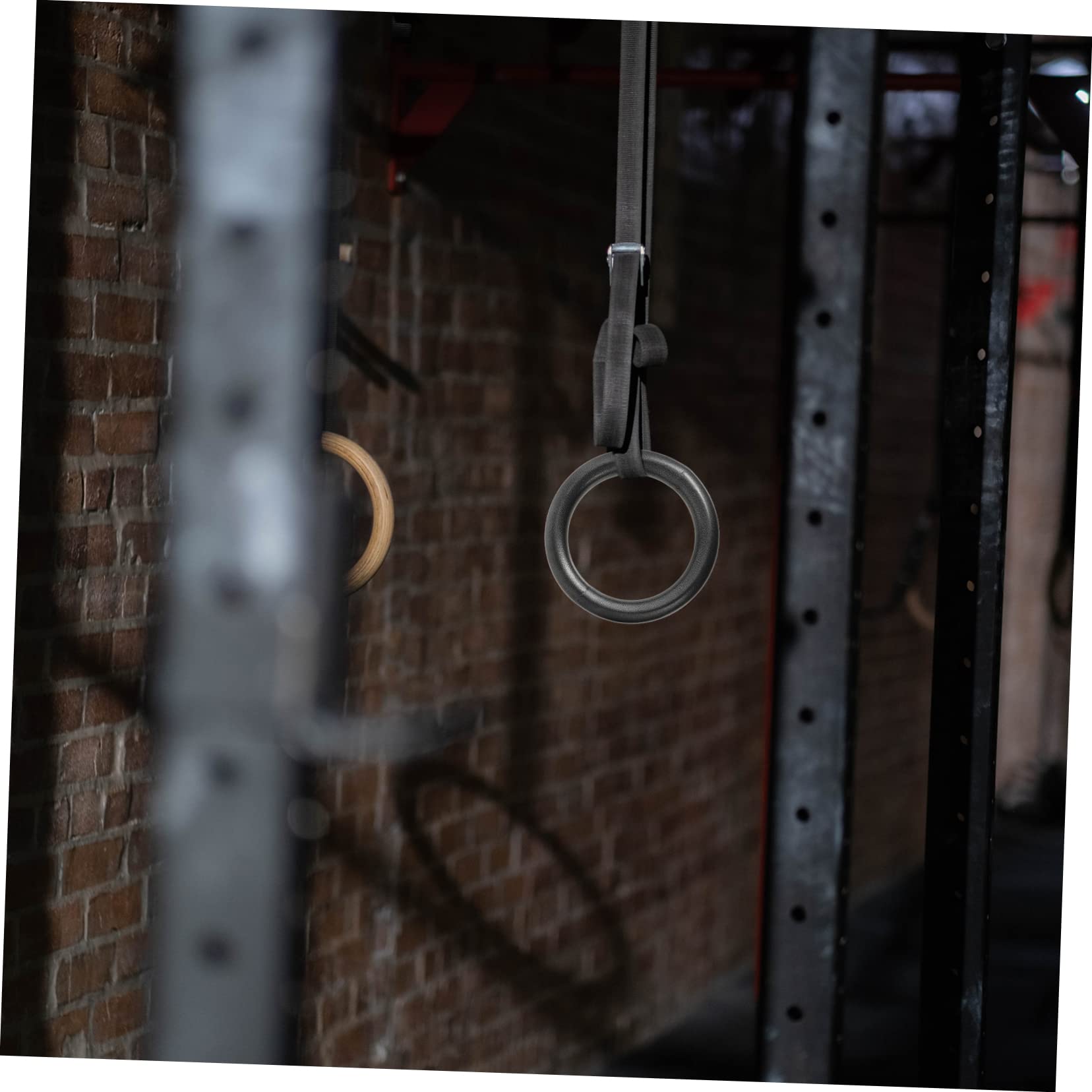 Anelli Fitness Regolabili 2 Pezzi per Casa e Campus in Acciaio