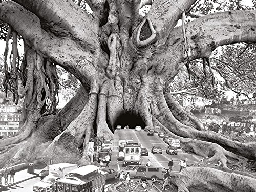 Toile imprimée Thomas Barbey WDC90476 habille vos grands murs blancs vides