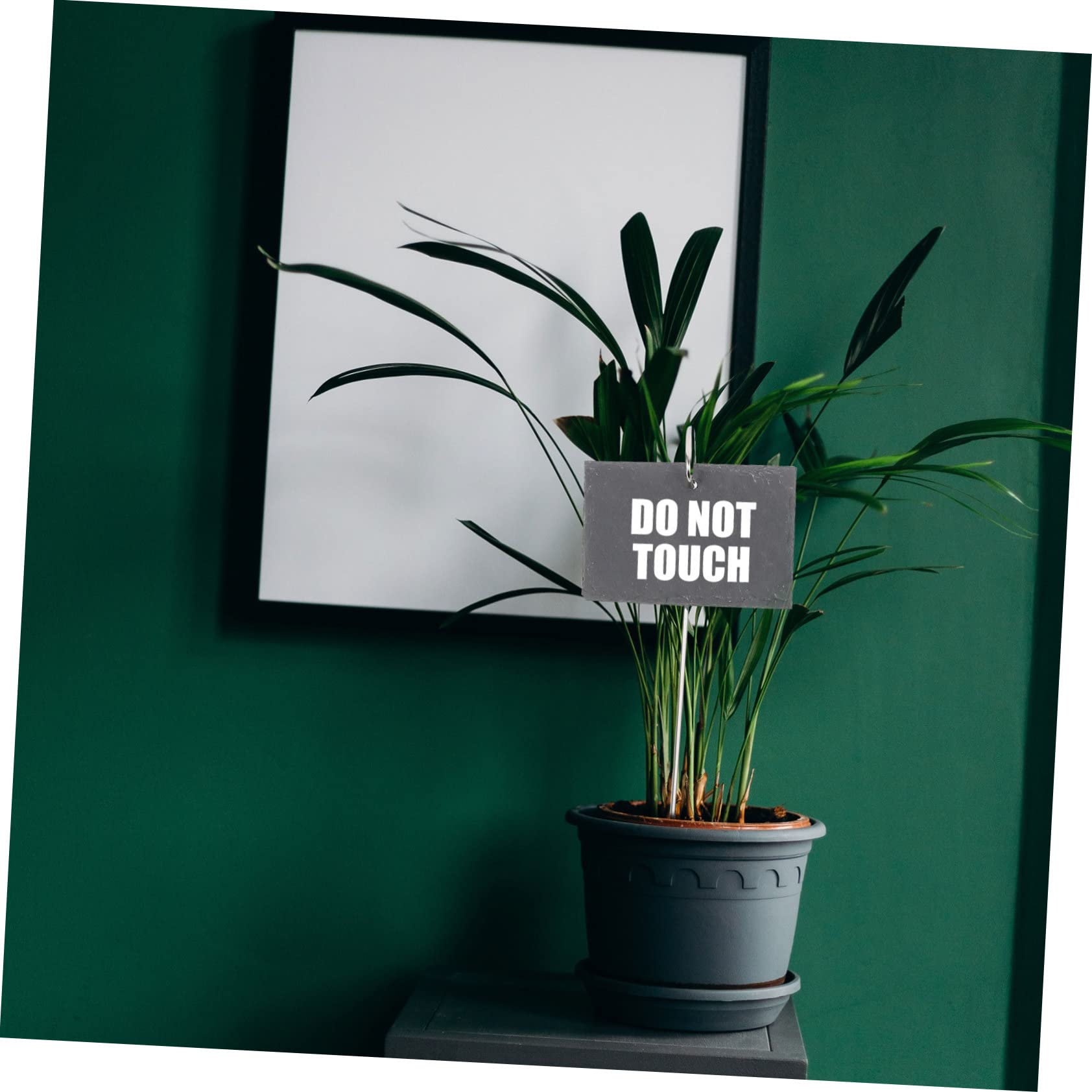 BESTonZON Étiquettes Jardin en Ardoise et Fer Noir, Marqueurs pour Plantes Résistants et Réutilisables, Décorations Simples pour Jardin et Identification des Fleurs
