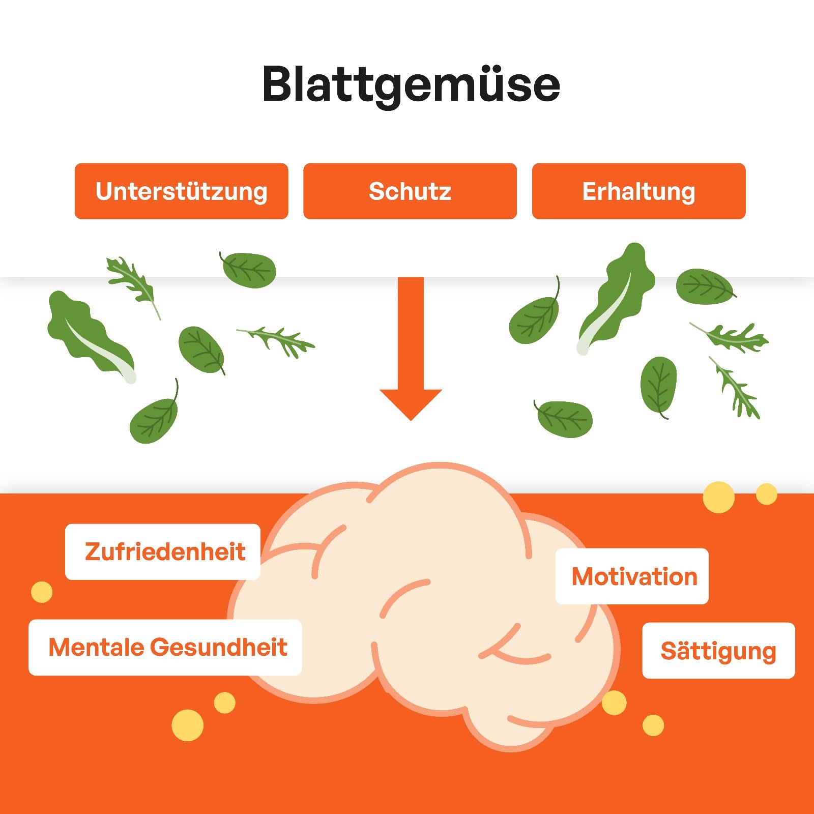 Vitamin A5 NEU identifizierts Vitamin A - 1 Monatsvorrat 30 Kapseln Nahrungsergänzung Natürlicher Extrakt hochdosierte Formel – Patentiert Made in Germany