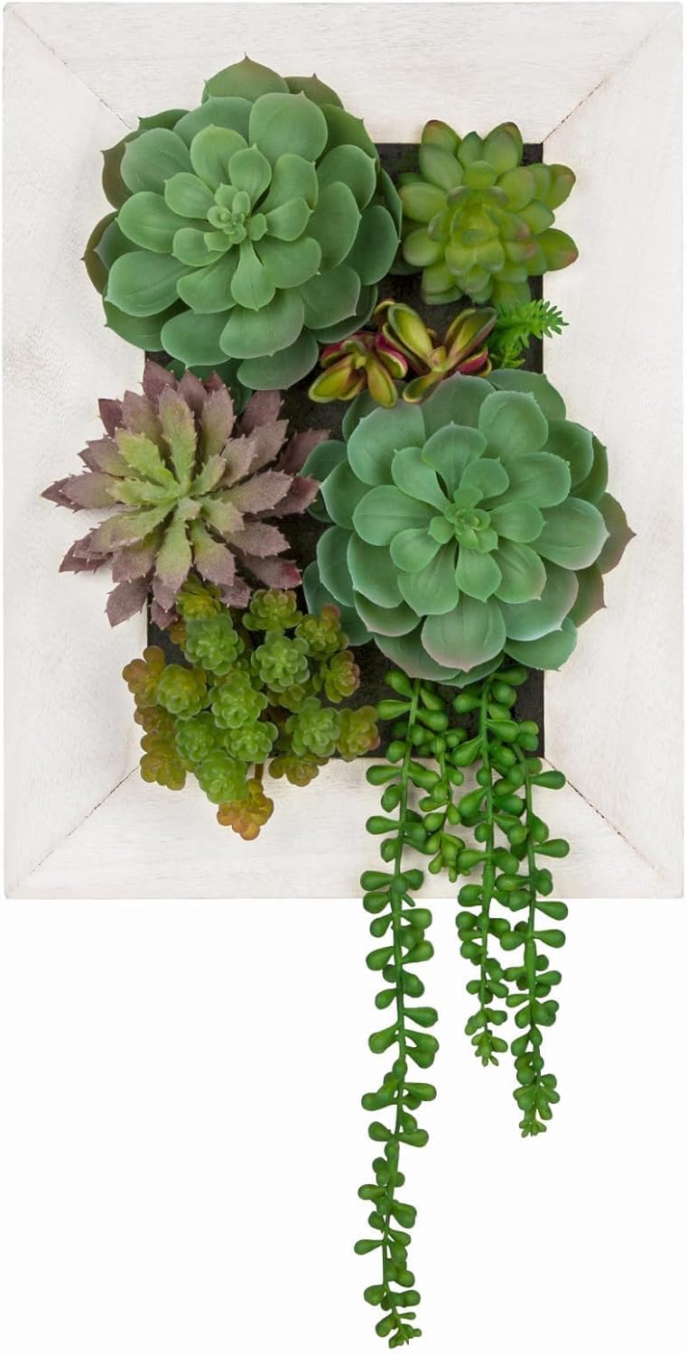 Wall Artificial Succulent Hanging Decor Plants Fake Succulents String of Pearls Arrangement with Wooden White Frames Faux Plants Hanging Boho Decor for Livingroom Bedroom Home Decor 10.2"x 2.3"x 13.7"