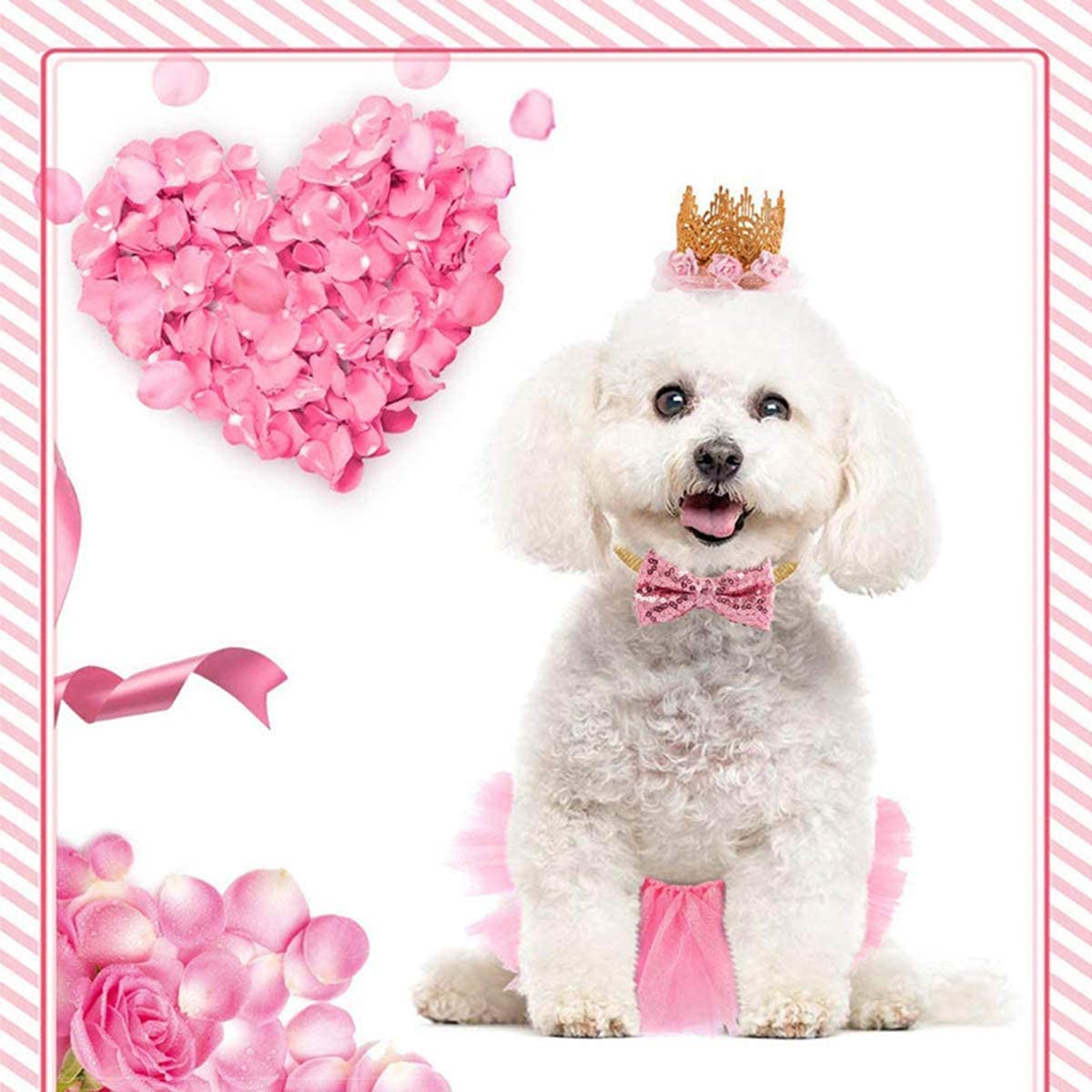 Costume de Chien 3 Pièces,Rose Jupe Tutu Couronne Chapeau Paillette Noeud Papillon,Mignon Noeud Jupe Tutu pour Petits Chiens et Chats