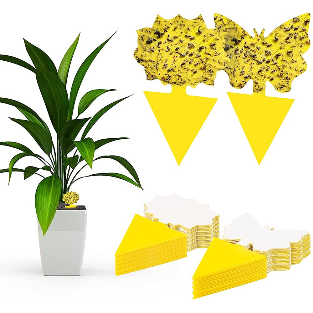 FANXIYA 48 Pezzi Tavole Gialle e Blu Plant Flycatcher Innestabile Trappole per Piante, Perfetto Contro i Parassiti, tripidi, Afidi e Mosche Bianche in Giardino e sul Balcone (Giallo+Blu