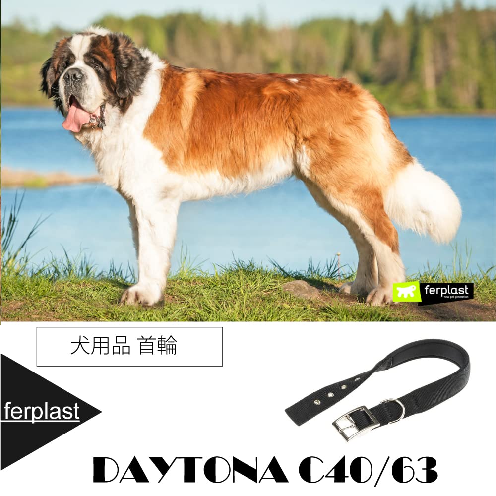 Ferplast Dog Collar Large Size Dog Collar in Padded Nylon Adjustable Metal Buckle, Neck Size 50-58 cm, Black - Image 2