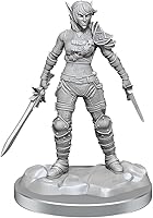 Vista 1 de WizKids D&D Nolzur's Marvelous Miniatures: Elf Rogue & Half-Elf Rogue Protégé