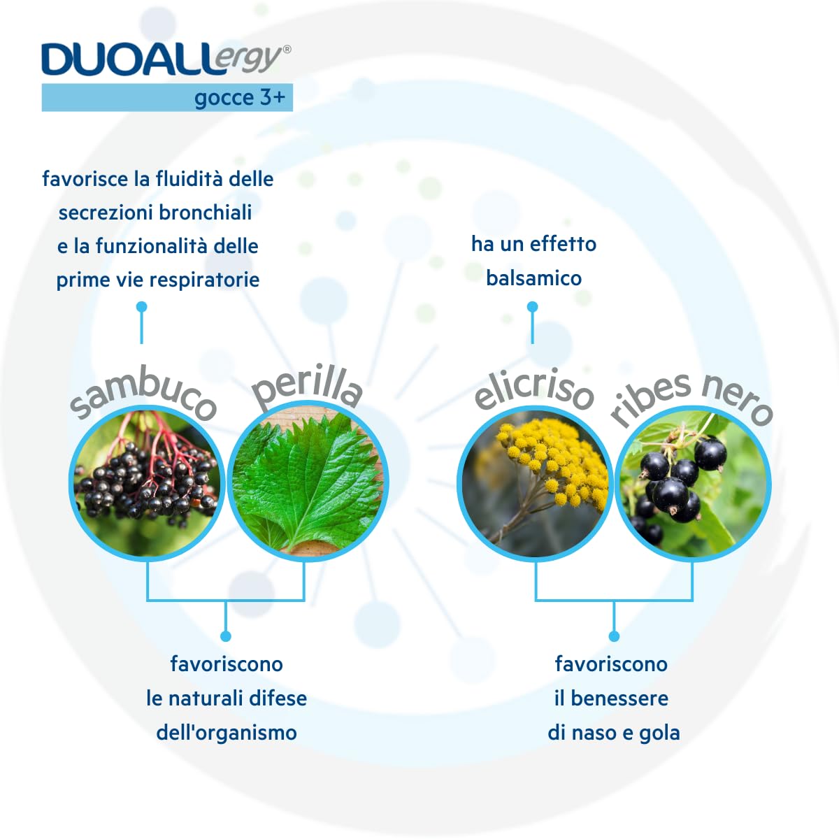 GPP | DUOALLERGY® GOCCE 3+, Integratore Alimentare Bambini 3+, Sambuco, Ribes Nero, Perilla, Elicriso, Boswellia, Quercetina, Supporta la Prevenzione e il Trattamento delle Allergie-Flacone 30ml