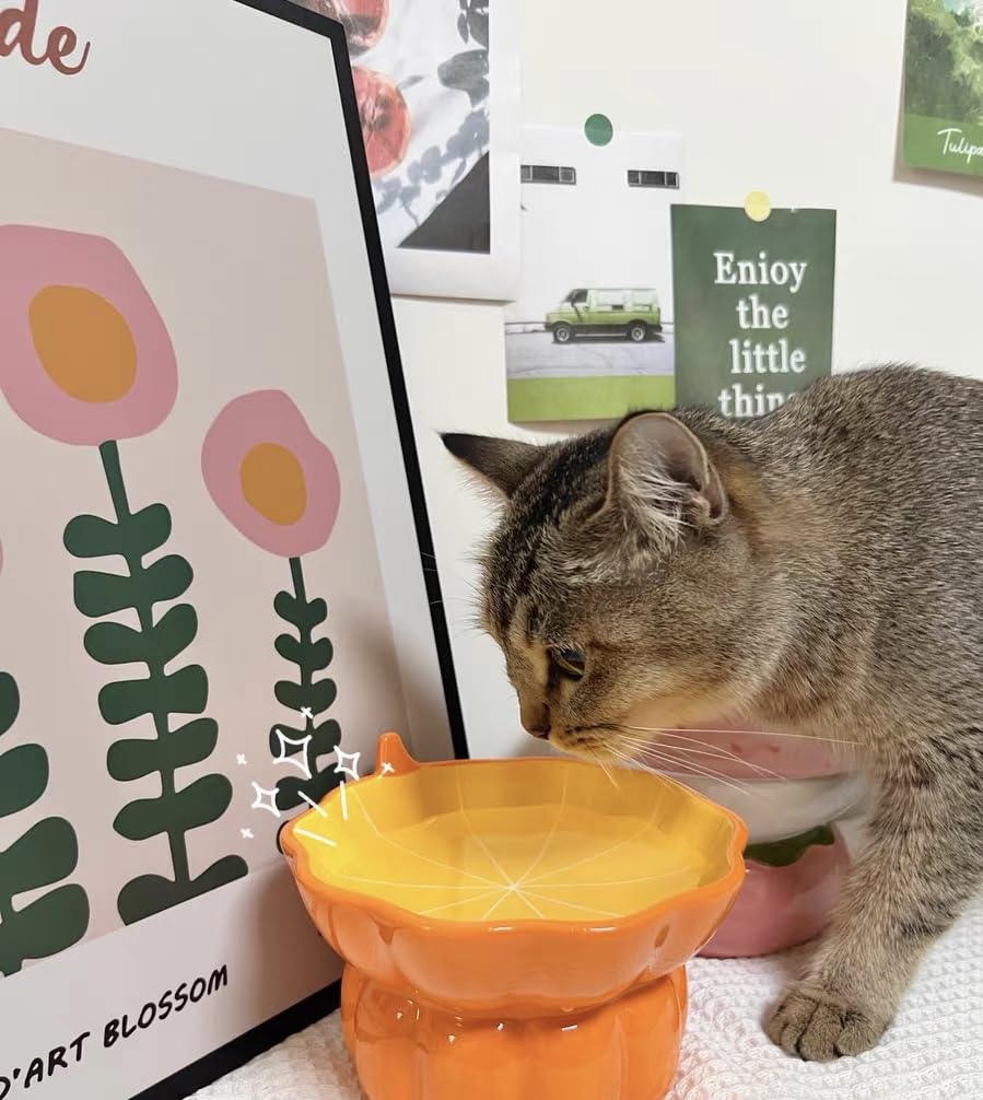 Ciotola Per Gatti In Ceramica Rialzata Con Inclinazione 15° - Antifatica Baffi | Design A Fragola - Foto 4
