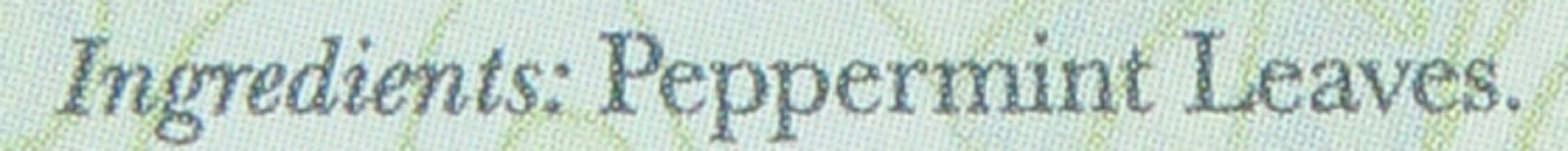 The East India Company Peppermint Loose Tea Caddy 90 g