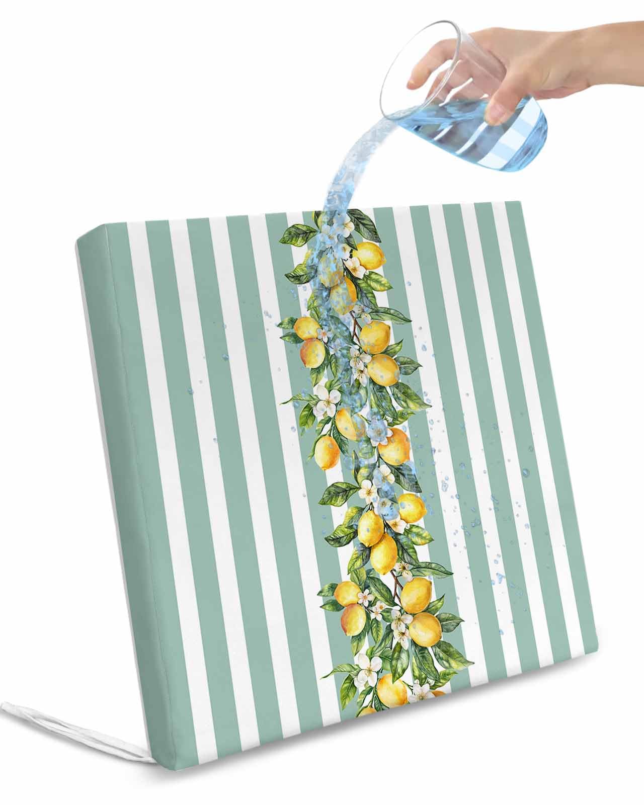 2 Pack Aqua Stripes Lemon Waterproof Cushion Covers with Ties, Outdoor Patio Chaise Lounge Chair Seat Cushion Slip Covers Replacement(Only Cover) Spring Botanical Plant Vertical Line 24