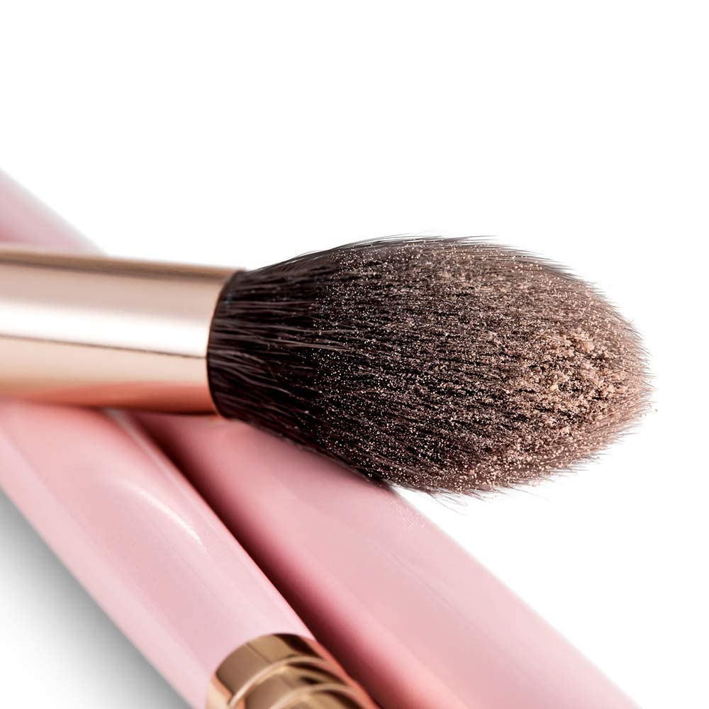 ENERGY 10-in-1 Pink Eye Brush Set, including Eyeshadow, Eyebrow, Eyeliner, Blending, Highlighter