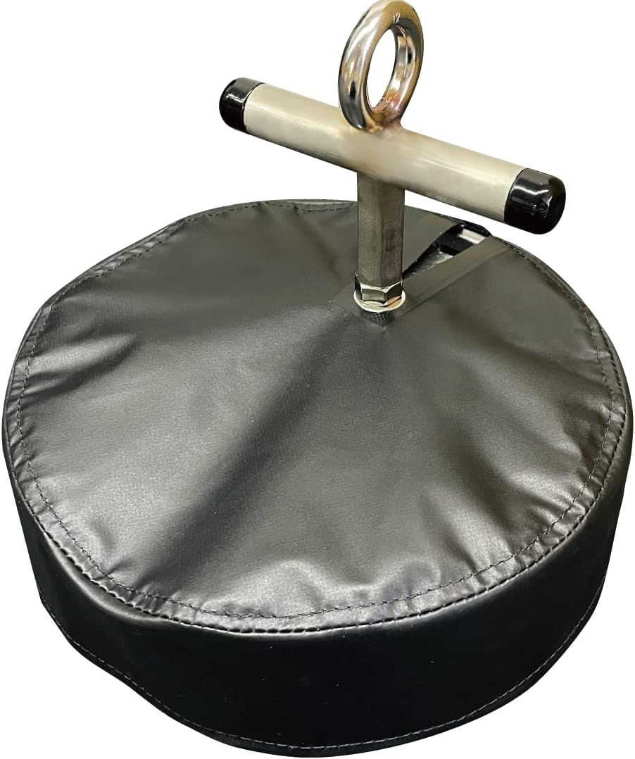 アガベ シーザー（Caesar）良型大株（5号鉢）子株付アガベ シーザー