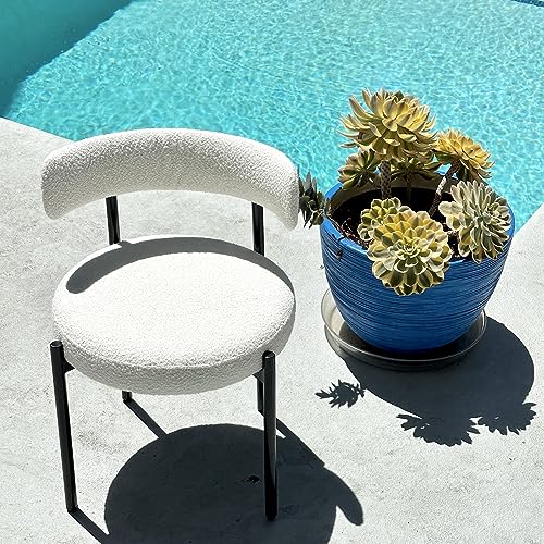 Locus Bono SD-221 Boucle Dining Chairs Set Of 2 thumb #2