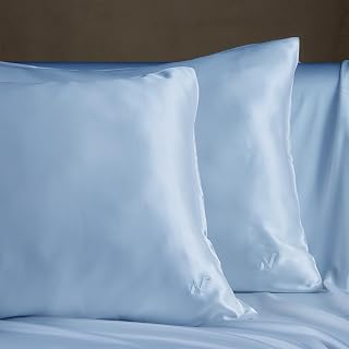 22mm Mulberry Silk Pillowcase, Ultra Soft, Hypoallergenic and Breathable, Hair & Skin Friendly, Better Sleep, 2-Piece Set, Queen(Blue)