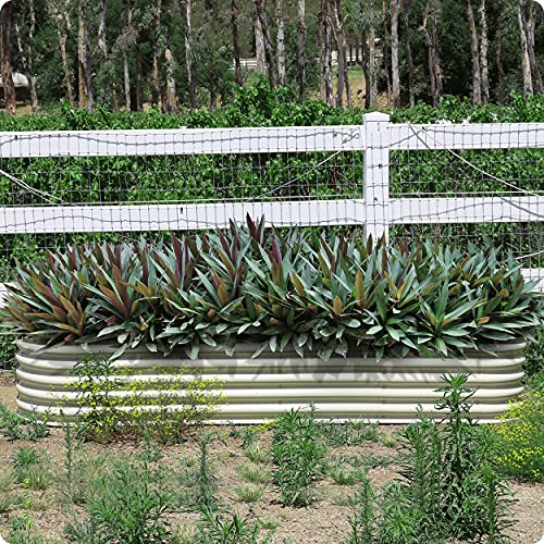 Olle 17" Tall 12-In-1 Sizes Raised Beds For Gardening Galvanized Planter Vegetables Large Metal Garden Outdoors Size 5X5 Feets 8X2 Feets, Ivory #TOP5