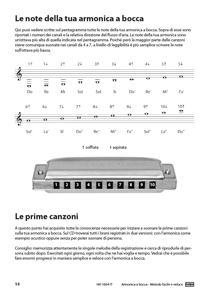 CASCHA Set d'apprentissage avec un harmonica diatonique de haute qualité en do majeur, méthode italienne pour débutants, étui et chiffon de nettoyage, idéal pour débutants & adultes, Noir