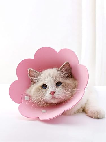 Miniatura 3 de QWINEE Collar de cono de gato con forma de flor, ajustable, ligero, suave, collar de recuperación para cachorros, gatitos, perros pequeños, gatos