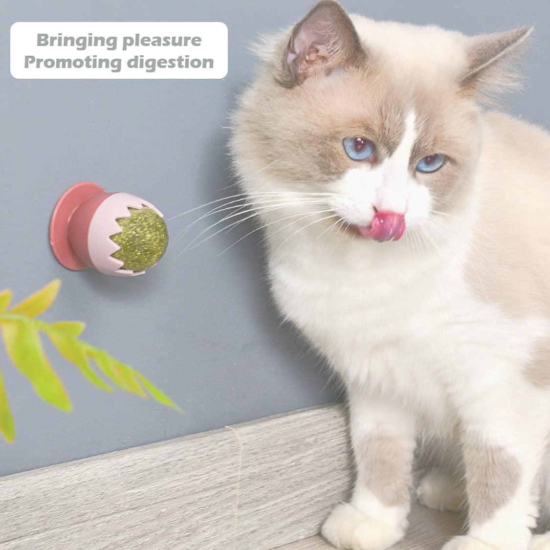 Bola Gigante De Hierba Gatera Para Gatos PAPIEEED | 3.9 Pulgadas | Alivia El Estrés Y La Ansiedad