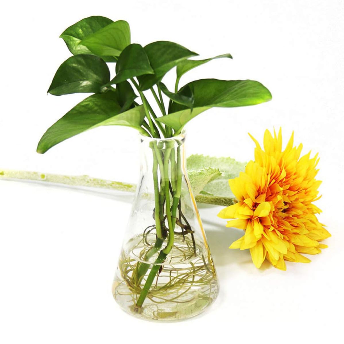 ULTECHNOVO Set da 5 Pezzi di Beute Coniche in Vetro Borosilicato Collo Stretto, Fondo Piatto, Capacità da 50ml a 1000ml, Resistenti di Temperatura per Uso Educativo Ricerca