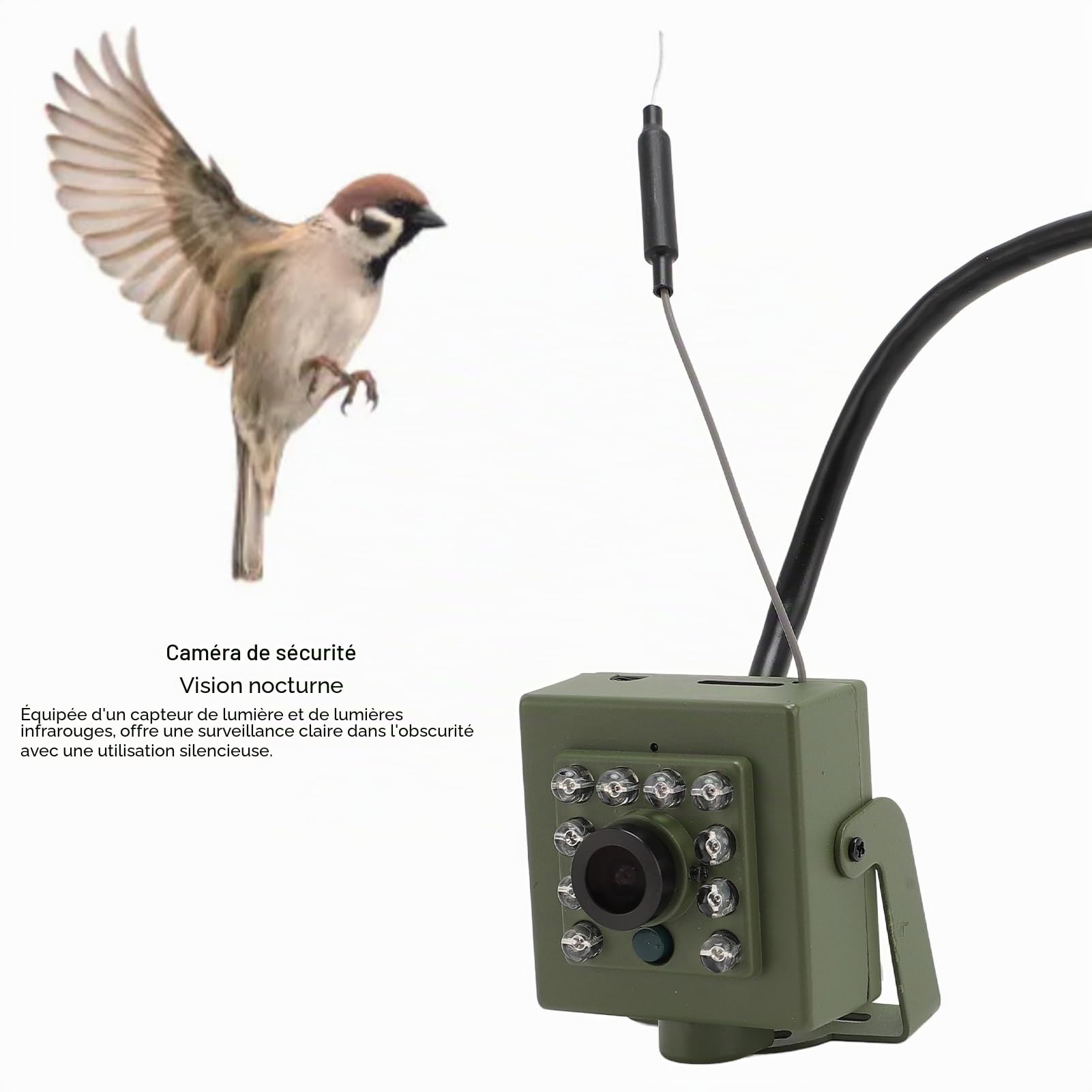 PUSOKEI Caméra pour Oiseaux, Caméra WiFi pour Nichoir à Oiseaux, Projecteur Infrarouge Grand Angle, Vision Nocturne, Caméra de sécurité WiFi, Installation Facile sur la Plupart des