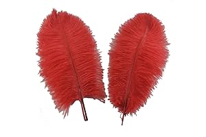 Enchanting Ostrich Feathers for Seductive Ambiance and Graceful Accents