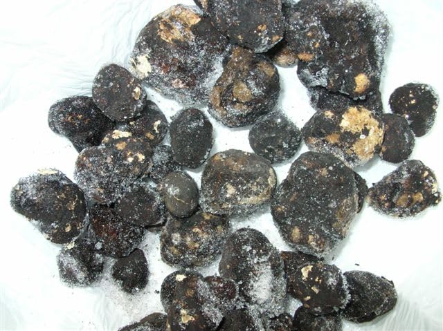 Oregon Wild Black Truffles, Frozen, 1 lb, Intoxicating Aroma, Premium Quality for Chefs