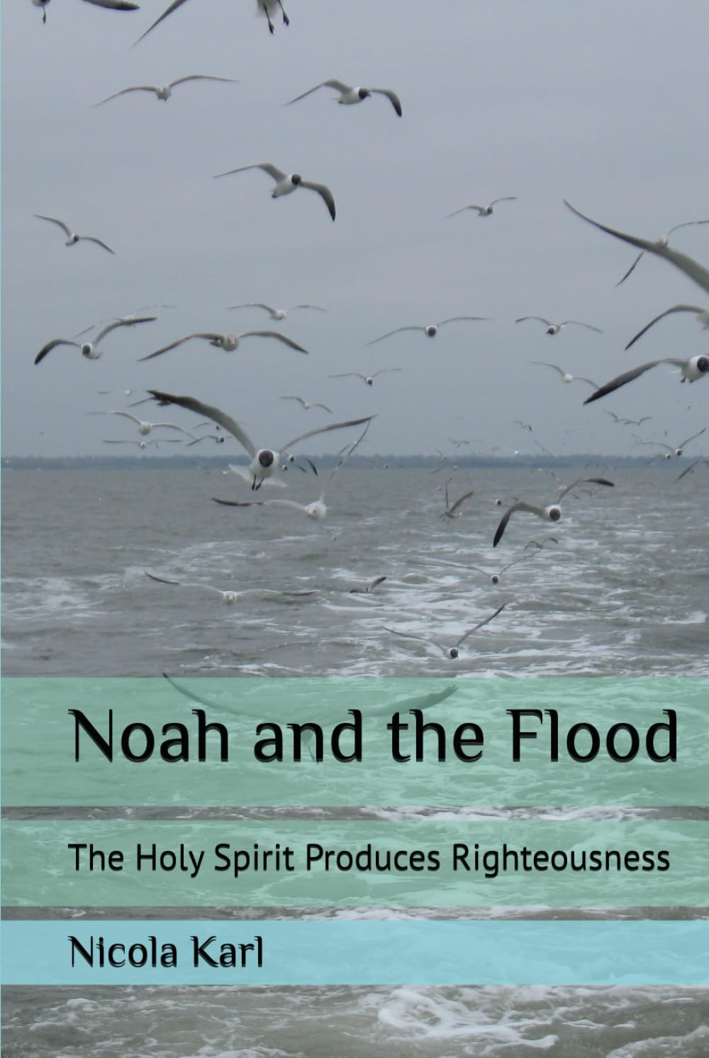 Noah and the Flood: The Holy Spirit Produces Righteousness (The Reflection of the Kingdom of Heaven)