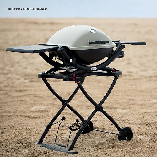 barbecue Weber Q220054060001