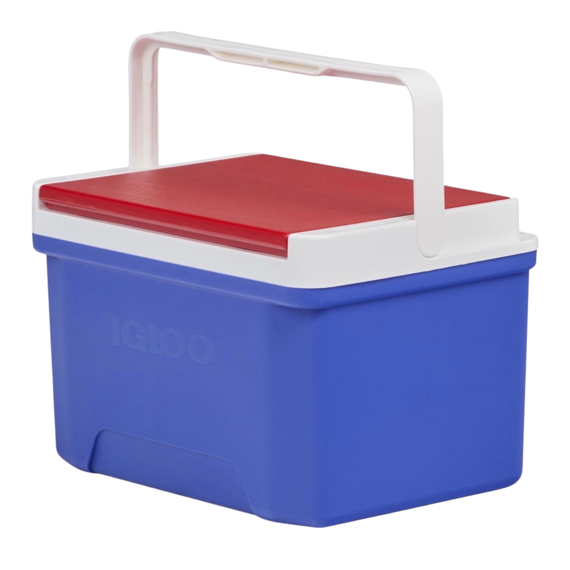 Amazon.com: Igloo Laguna 9 Personal Cooler, Majestic Blue | 9