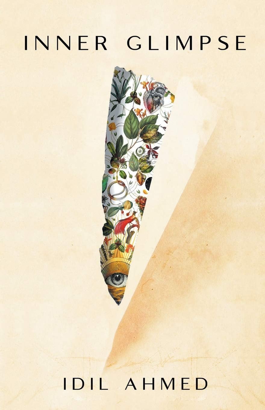 Inner Glimpse Paperback – 30 November 2020