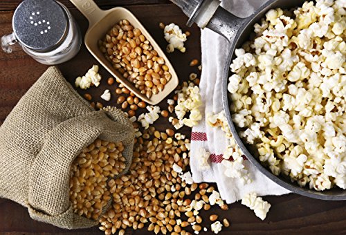 Amish Country Popcorn | Oil and Seasoning Variety Pack | Coconut Oil - 15 oz and Ballpark ButterSalt Popcorn Salt - 5.5 oz - Thumbnail 5