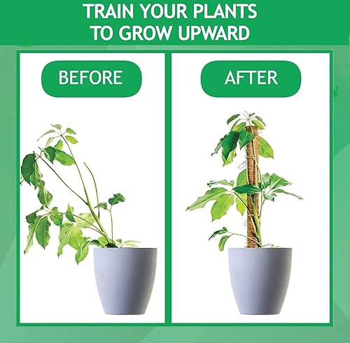 Miniatura 4 de Poste de musgo  Poste de musgo de fibra de coco de 17 pulgadas y 14 pulgadas para plantas MonsteraEstacas para plantas trepadoras  Lazos y cuerda de