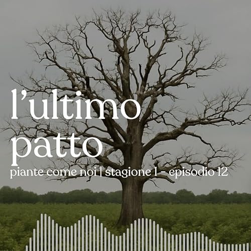 L'ultimo patto - Stagione 1 | Episodio 12