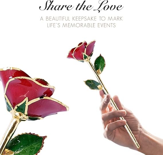 Forever Rose Gold Trimmed Red Open Bloom Real Rose Dipped in 24K Gold