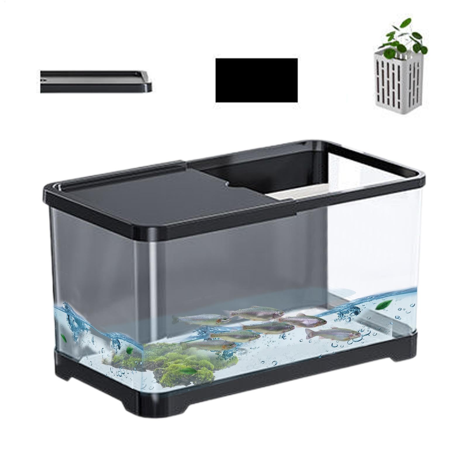 Kit d'aquarium – Aquarium décoratif en Eau salée | Aquarium avec système | de filtration, éclairage, réservoirs créatifs, aquarium avec panier pour Goldfis, gupy, crevettes, méduses