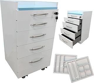 TECHTONGDA 4 Drawer Dental Assistant's Mobile Cabinet Dental Medical Storage Cabinet, Stainless Steel Utility Mobile Medical Trolley Cart with Lock & 2 Partition Trays for Hospital Clinic Office
