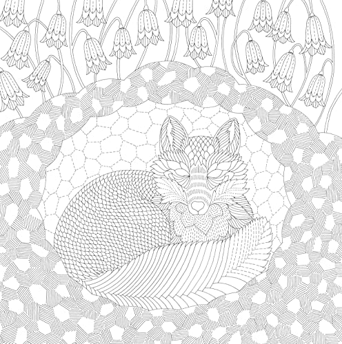 Millie Marotta's Woodland Wild: A Coloring Book Adventure