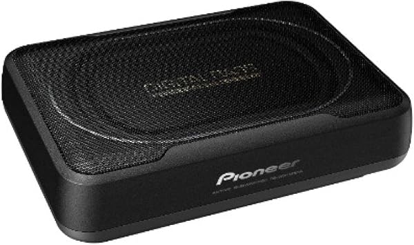 PIONEER TS-WX130EA Aktivsubwoofer 20x13cm 160W schwarz