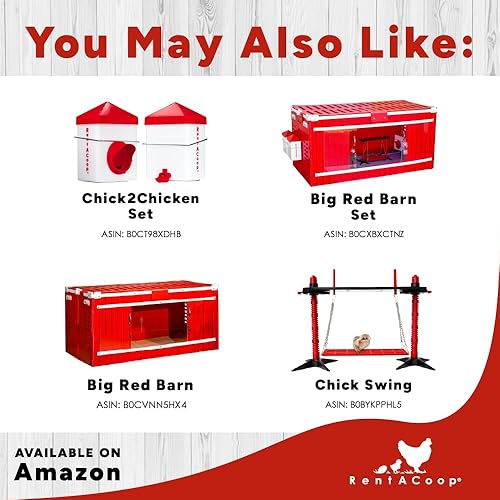 Miniatura 8 de RentACoop Juego de placa calefactora y cono anti-gallo - Placa de calor para criadores calienta hasta 20 pollitos - Calentador de pollitos con 25