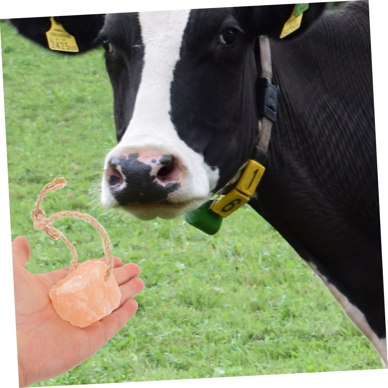 Mipcase 4pièces Lick Salt Blocks For Horses Cattle And Deer Natural Mineral Salt For Livestock Vitality And Wellbeing