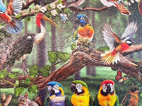 Naturelish 1000 Piece Jigsaw Puzzle for Adults, Colorful Birds Puzzle by Naturelish - Used condition - Image 9