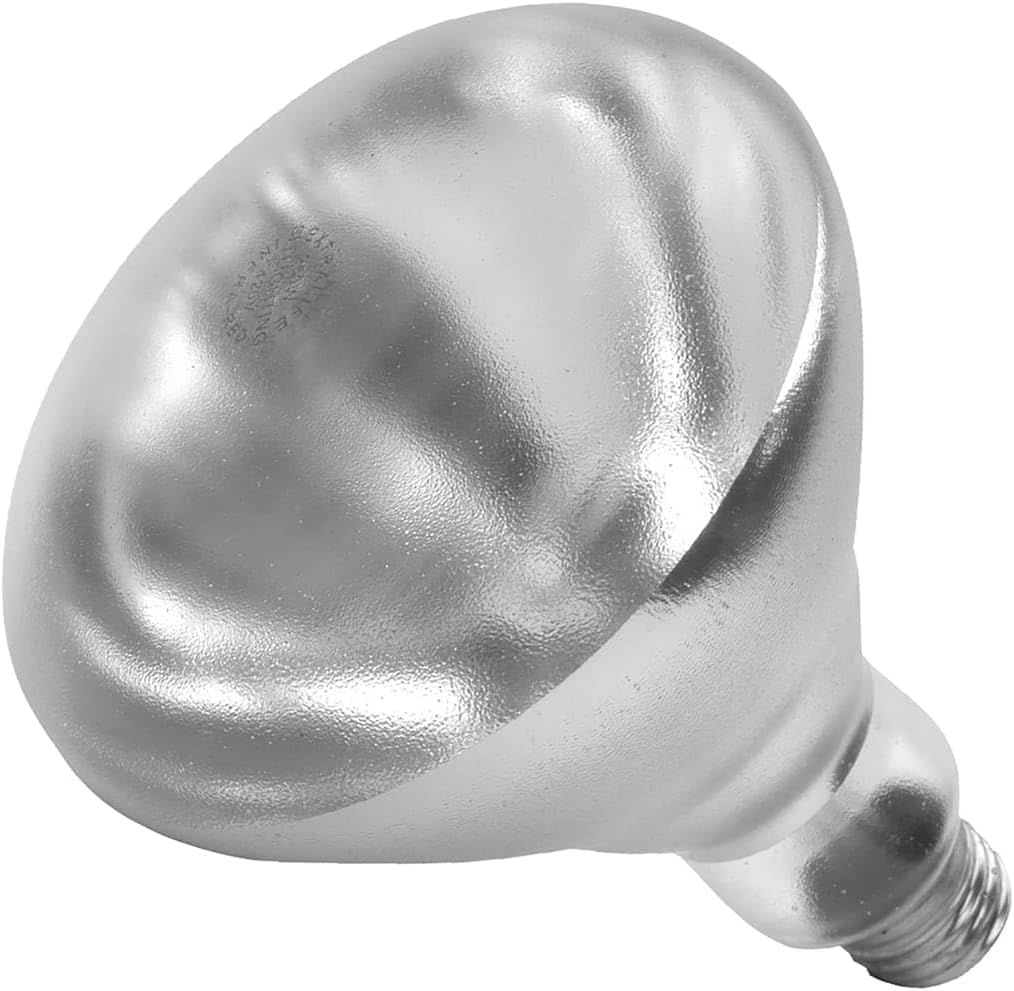 Incandescent 250W Heat Lamp Bulb - 12 / CS