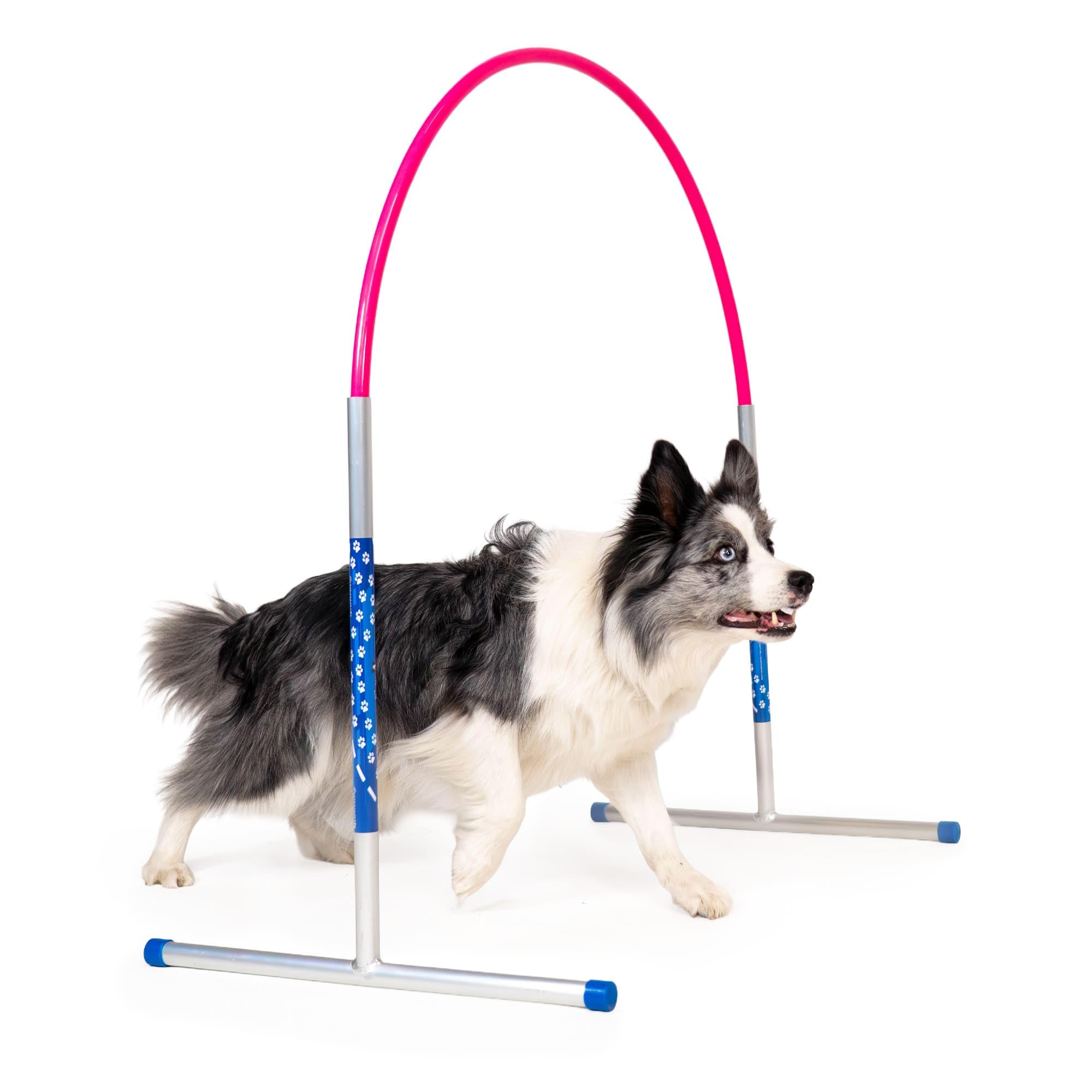 Hoopers Agility Hoops - NADAC Hoopers Agility Hoops bez podpory środkowej (duże opakowanie)
