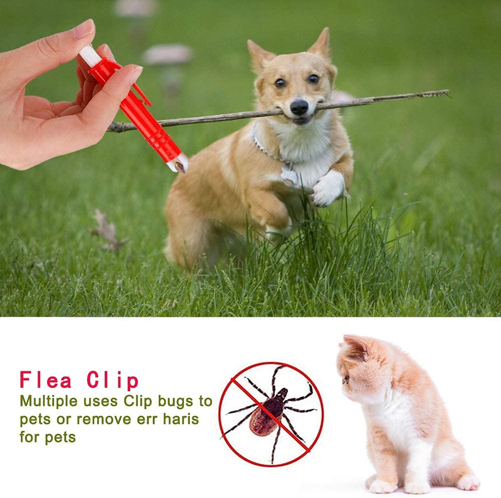 Set 3 Pinzette Zecche Per Cani E Gatti - Rimozione Sicura E Indolore, Con Custodia
