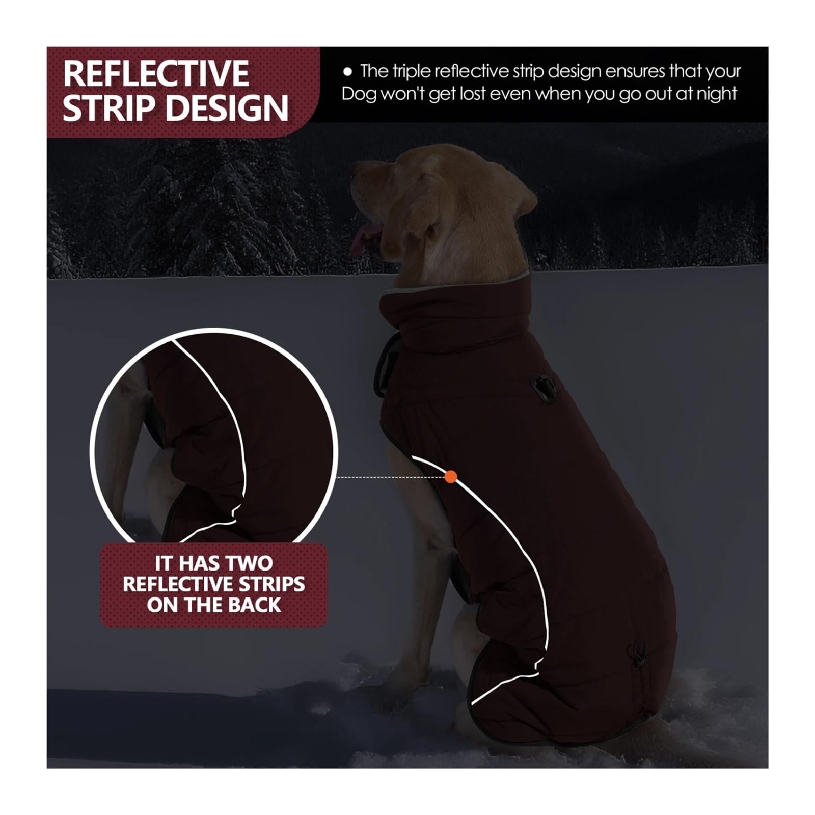 Manteau pour Chien, Veste d'hiver imperméable et Coupe-Vent, col roulé réfléchissant réglable, 1 pièce(Color14,M)