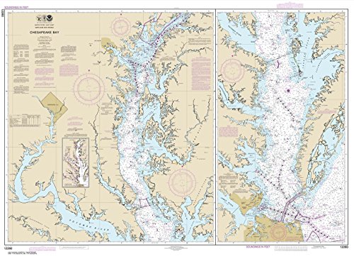 Paradise Cay Publications NOAA Chart 12280: Chesapeake Bay 33.7 x 46.5 (Traditional Paper)