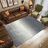 RUGMRZ Terrasse Deko Moderne minimalistische Geometrie Fußboden Vorleger grau kuche Carpet Living Room terrasse deko schöne deko160x220CM