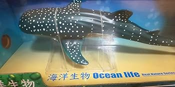 Amazon.co.jp: ジンベイザメ フィギュア BIG mega : おもちゃ
